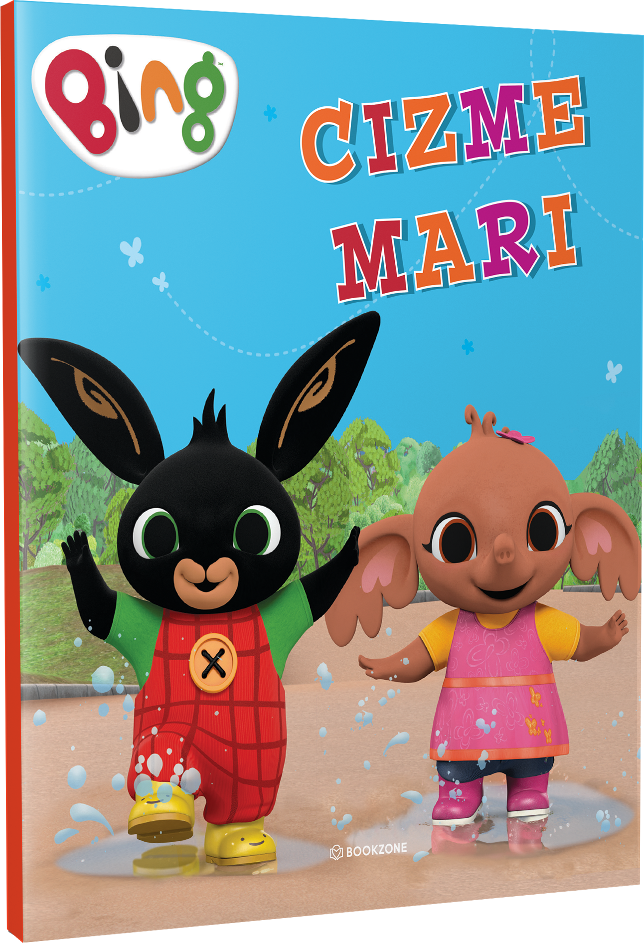 Cizme book